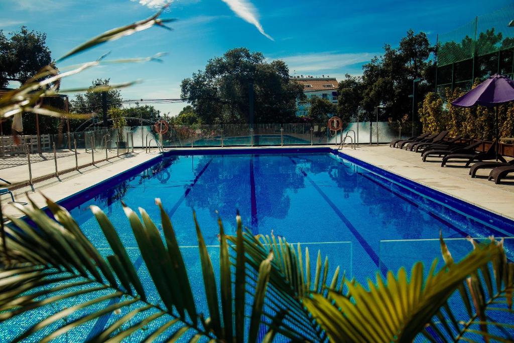 Royal Tennis Club photo