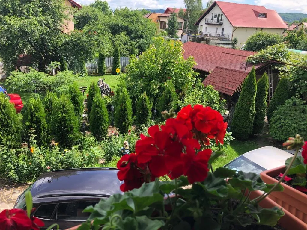 Villa Nina, hotel in Campina