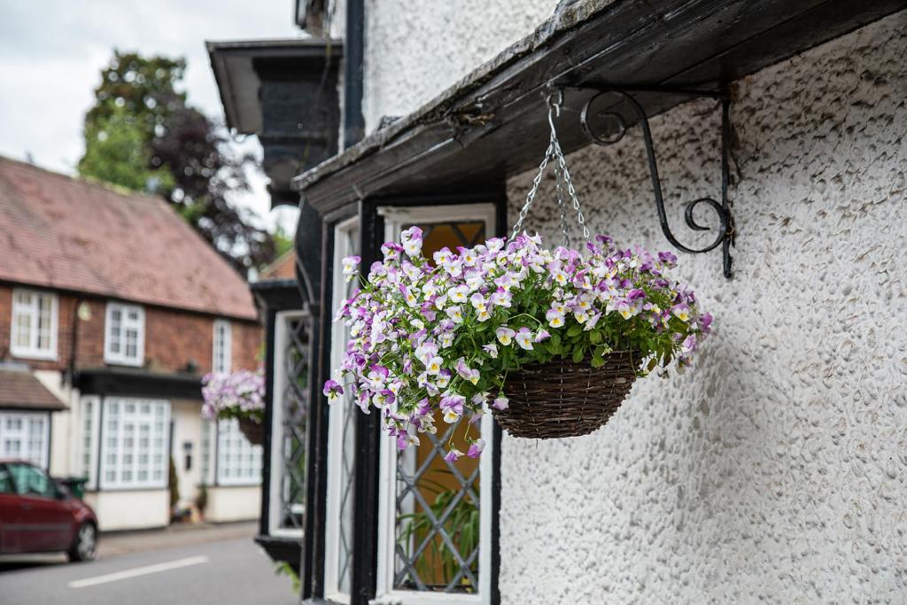 The Yew Tree Inn photo