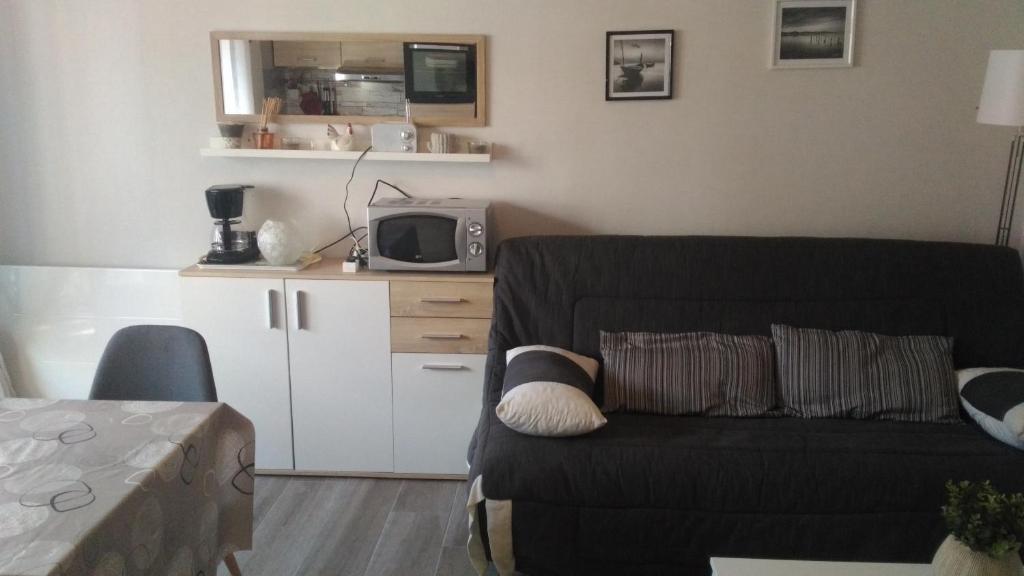 Studio centre Carroz CA210 - 2