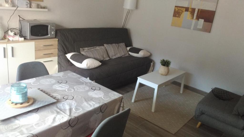 Studio centre Carroz CA210 - 3