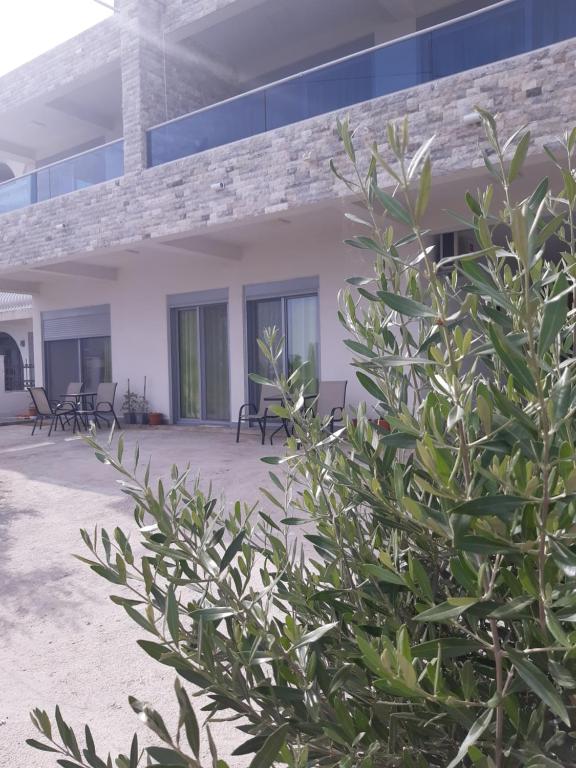 Zara Apartments - 5