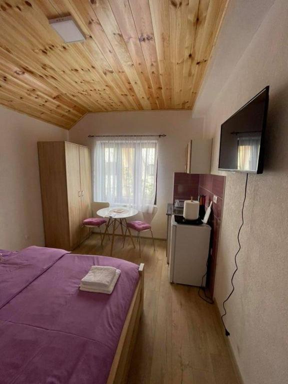 Apartmani ALBION photo