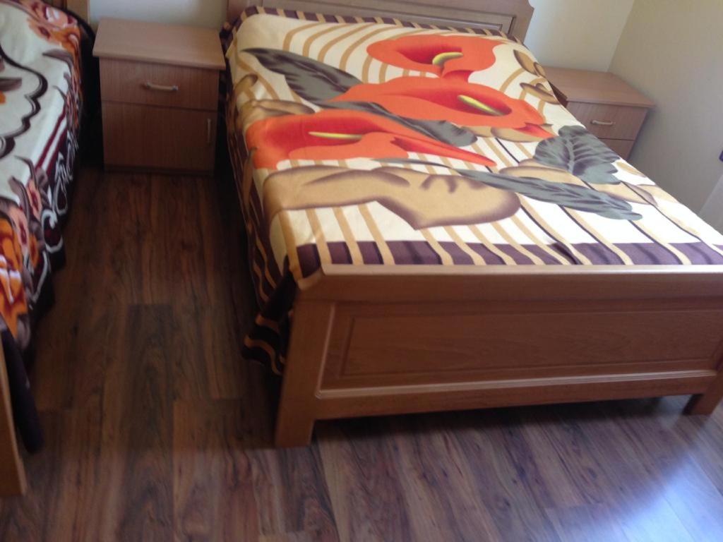 Alpbes Theth Guesthouse photo