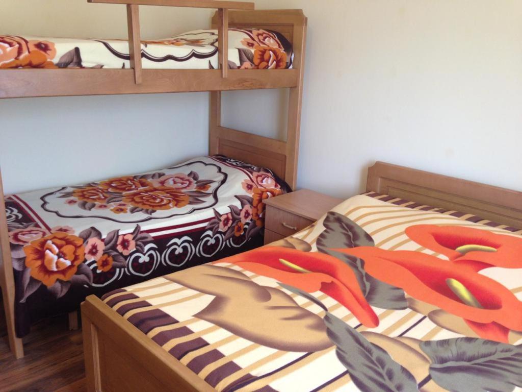 Alpbes Theth Guesthouse photo