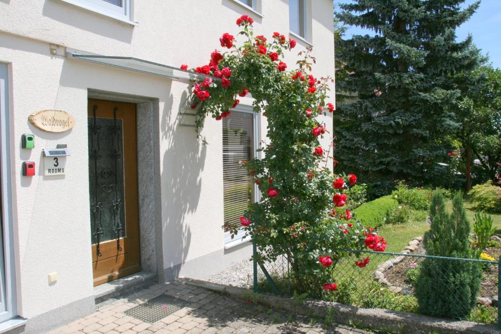 Waldvogel Ferienzimmer photo