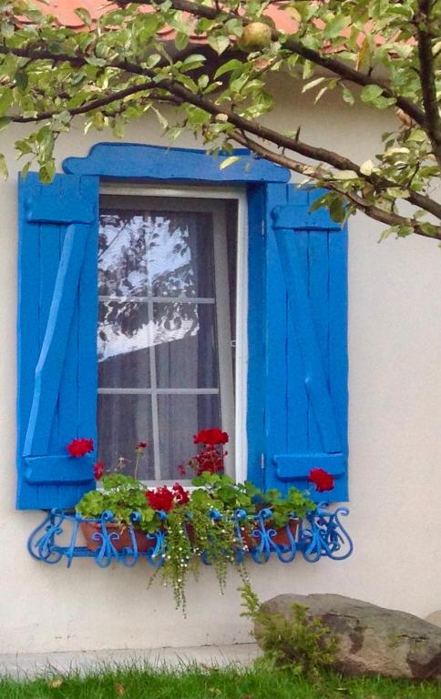 Flower Street photo
