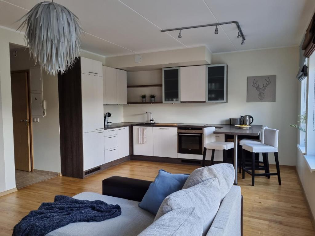 R63 Apartment with Terrace, Tartu