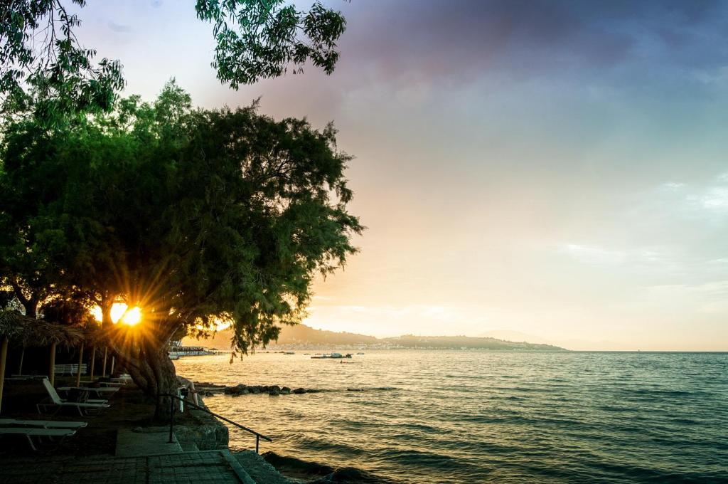 Mimoza Beach — Argassi, Ionian Islands