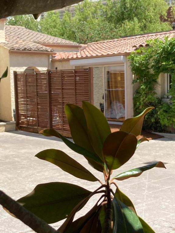 le Garden Cocoon, Istres