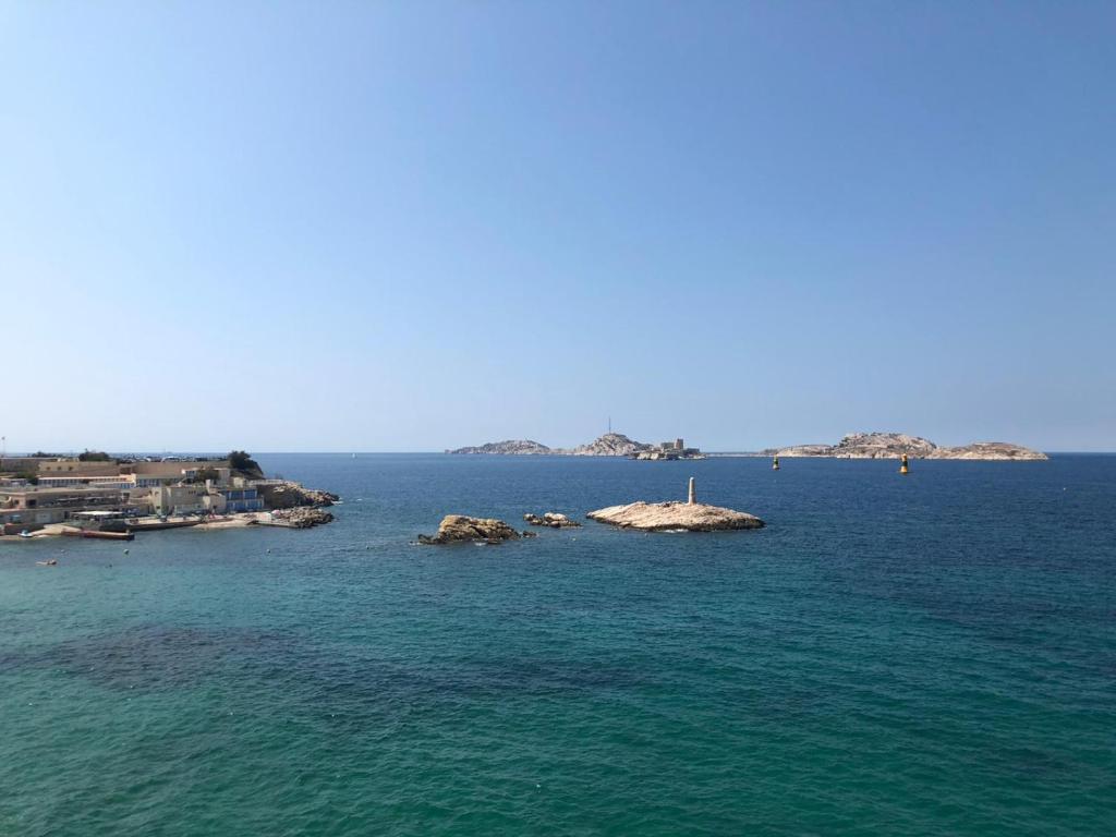 アクティビティ