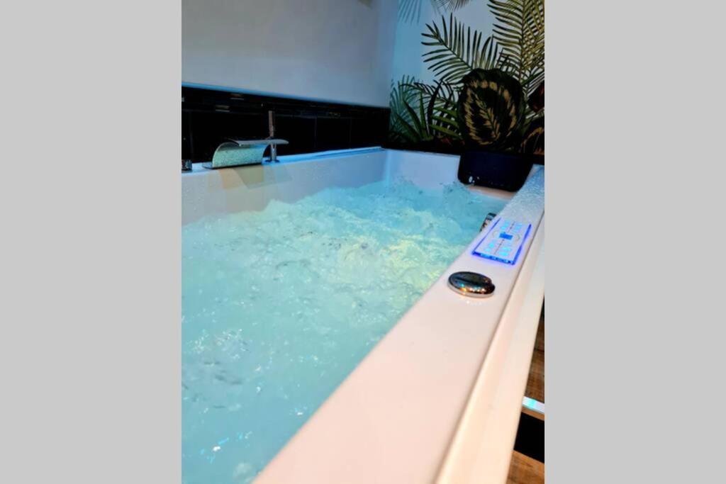 Appartement cosy avec baignoire balnéo - 4
