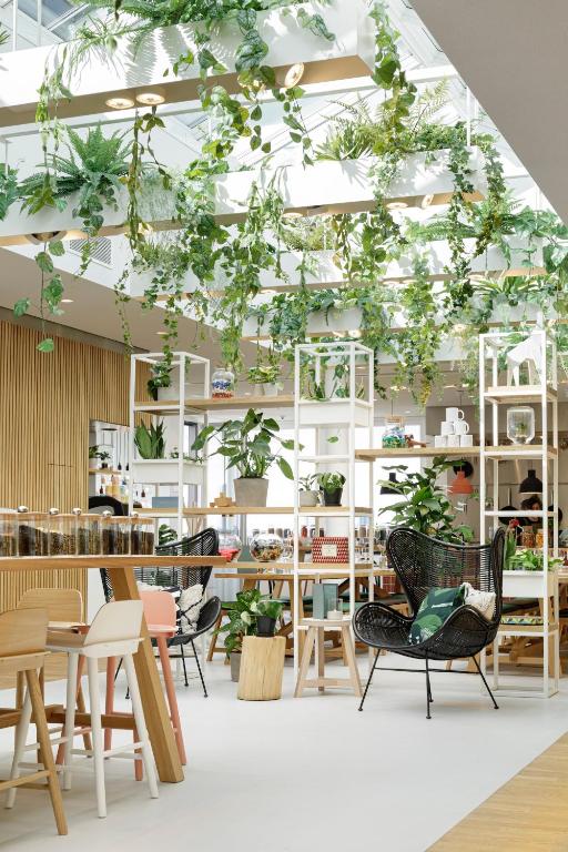 Zoku Vienna photo