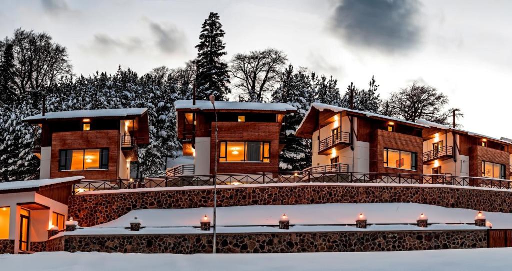 Crystal Hill Resort — Hotel in Bakuriani