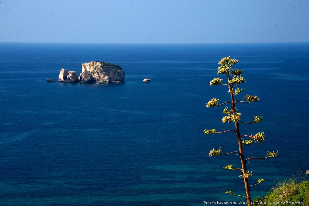 Elisso apartment with seaview garden photo