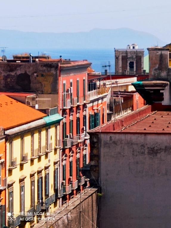 Sehenswürdigkeiten in der Nähe