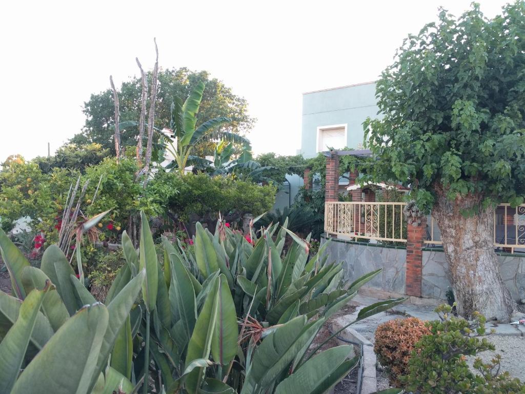 Casa Baleso - 3