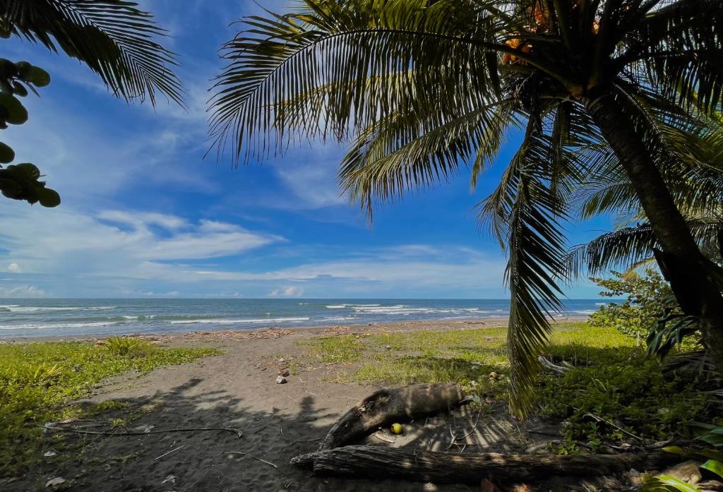 Hotel El Icaco Tortuguero photo