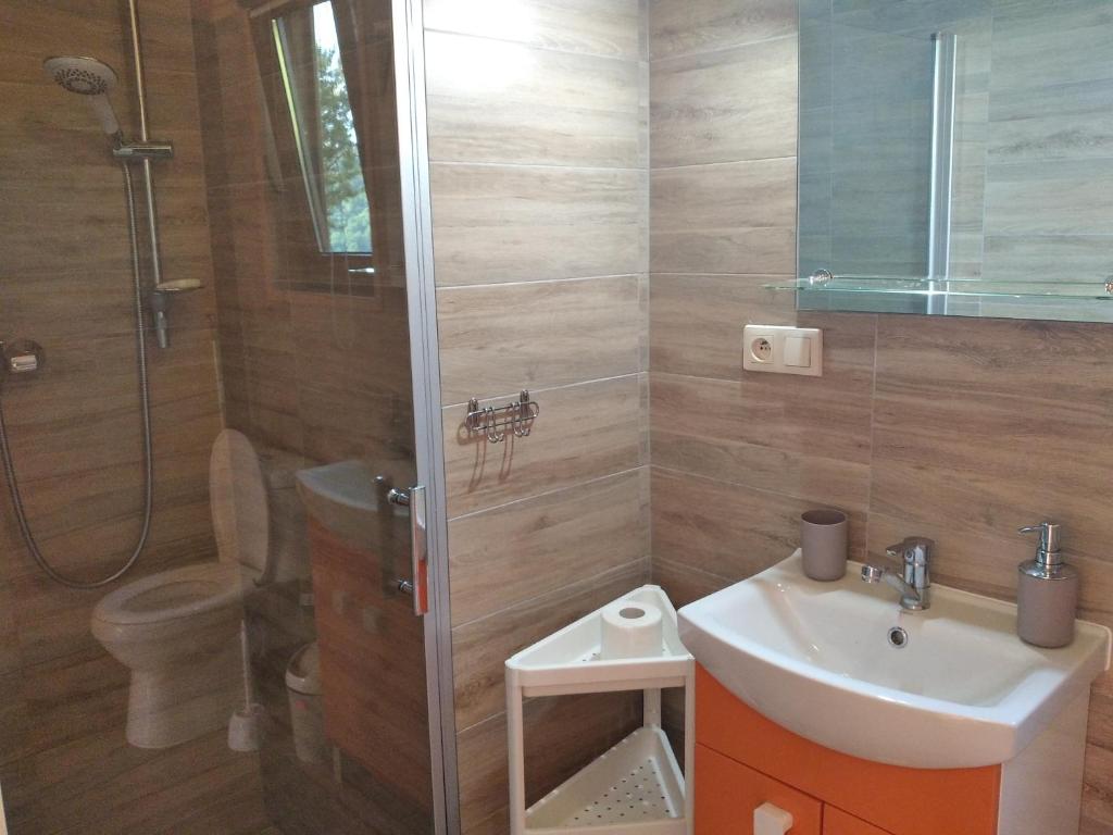 Domki i apartamenty nad jeziorem solinskim z basenem I widokiem na gory 전경