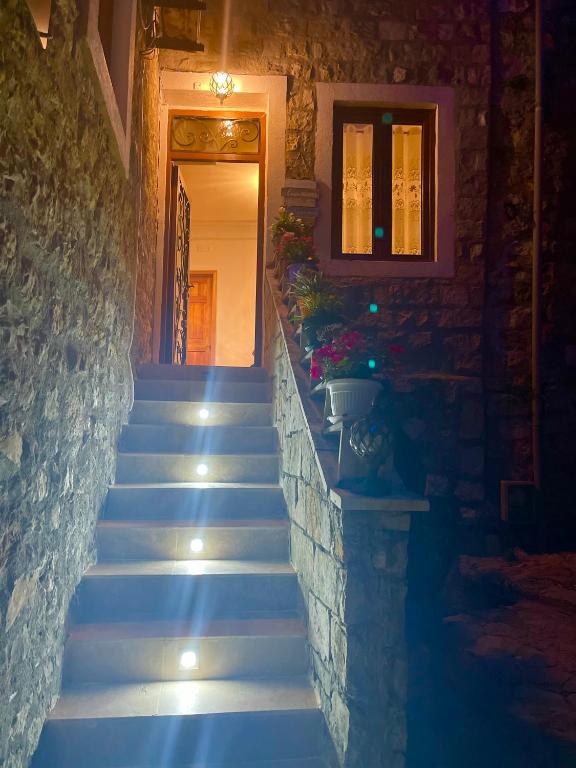 Guest House Alea photo