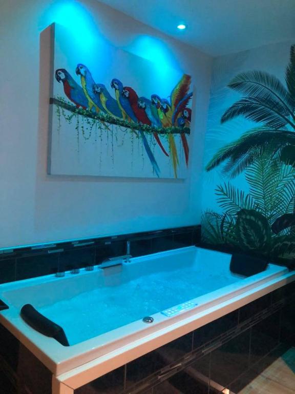 Appartement cosy avec baignoire balnéo - 2