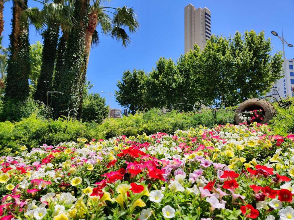 Hotel Don Pancho - Designed for Adults — Attractions in the area in Benidorm, Valencian Community