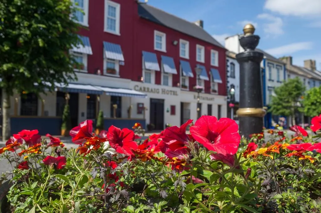 The Carraig Hotel, hotel in Carrick-on-Suir