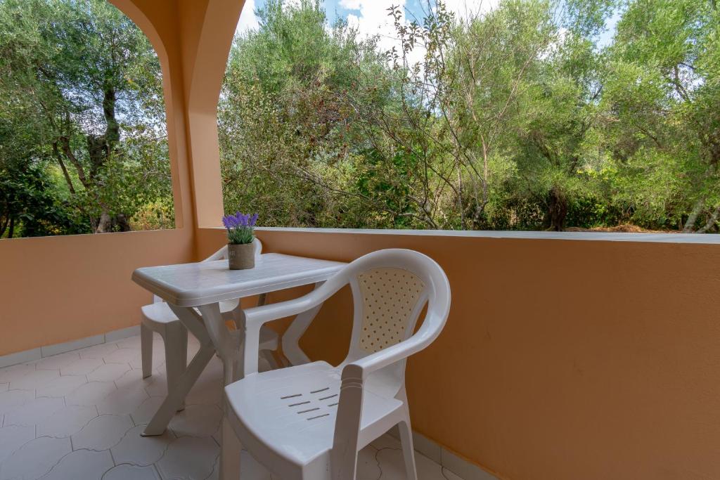 Villa Olive apartments photo