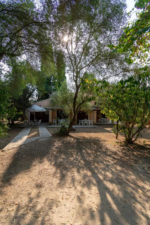 Villa Olive apartments — Hotel in Corfu Island