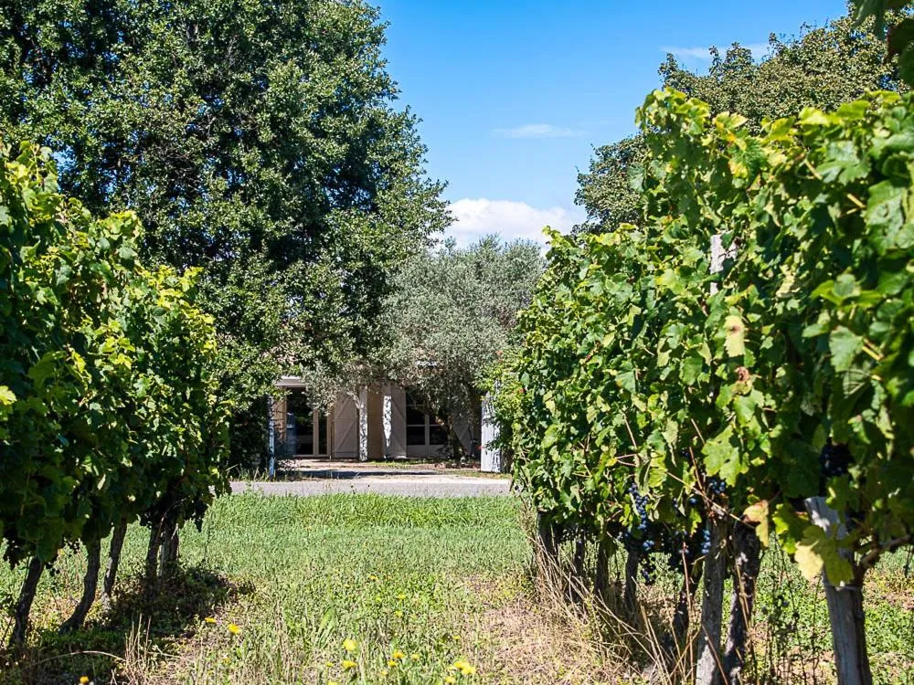 Au détour des vignes，位于Ordonnac的酒店