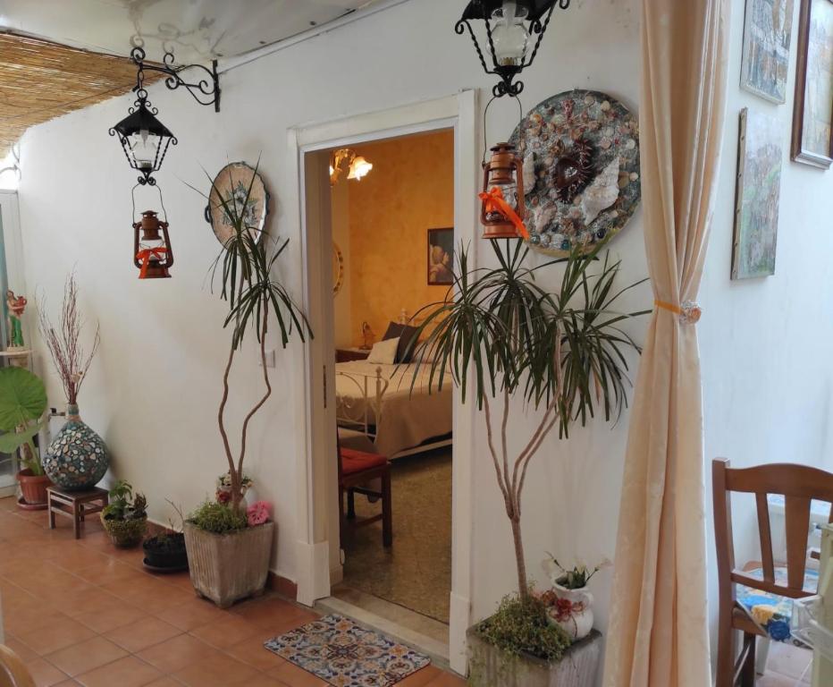 ENZA ROOM'S AMALFI COAST affittacamere - 5