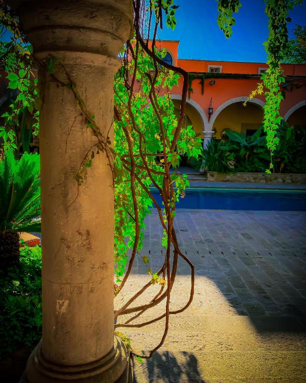 Hacienda de Los Santos photo