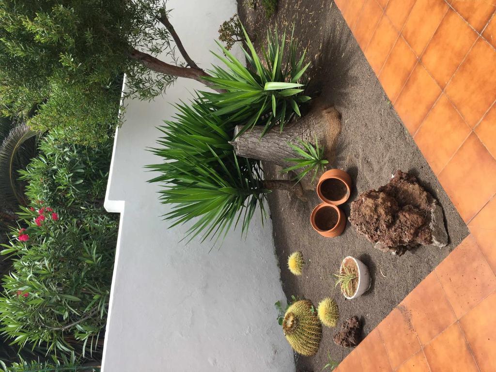 Apartamento con jardin y piscina B photo