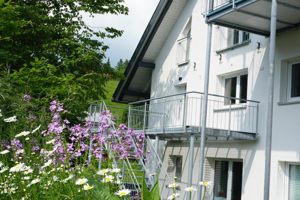 Loft Island Ferienwohnung Leutkirch Isny im Allgäu