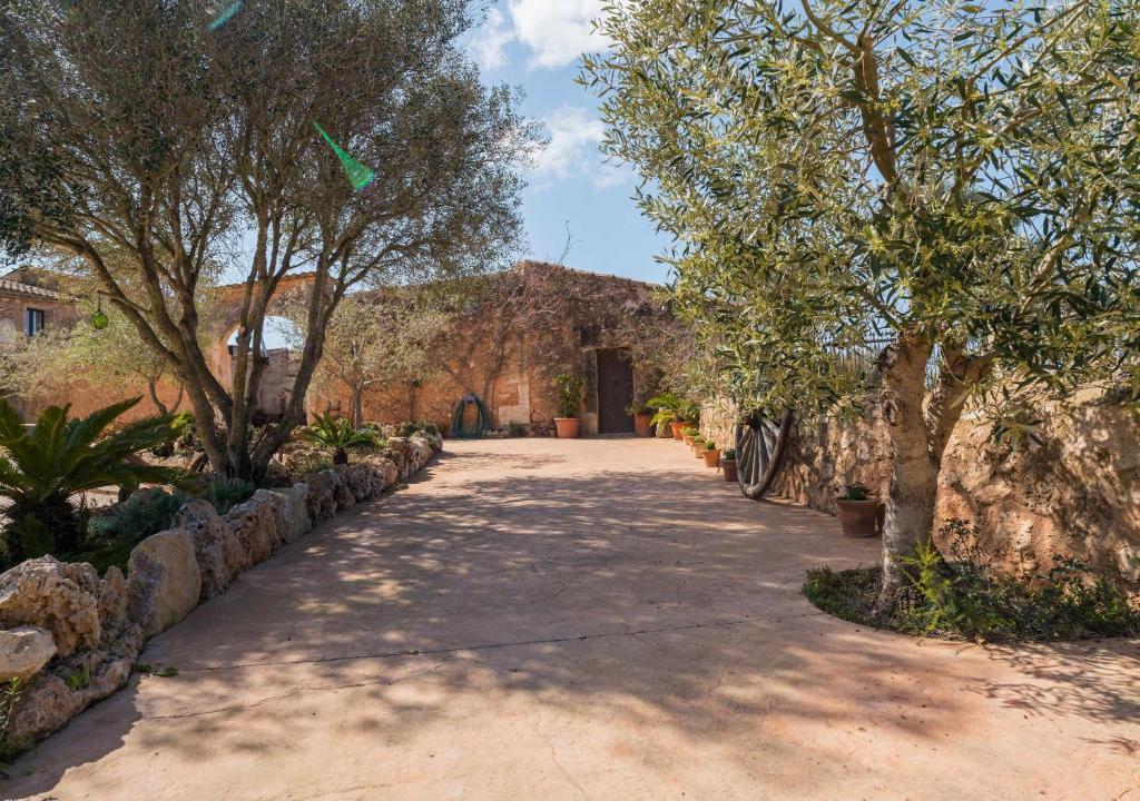 Agroturismo Sa Canoveta photo