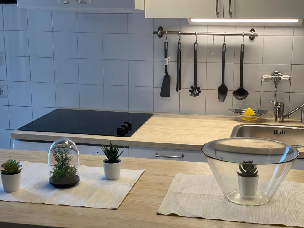 Sokobanja Apartman Aleksa - 3