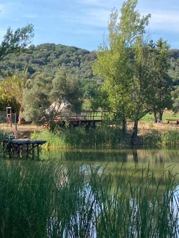 Agriturismo La Fontanella & Glamping photo