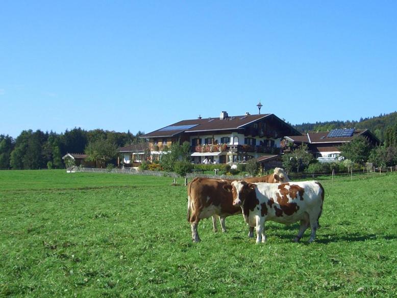 Gästehaus Restner - Chiemgau Karte - 3