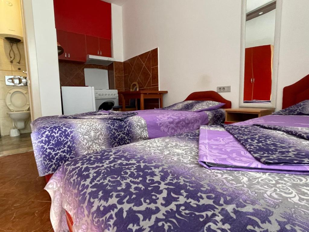 Apartment Zevs - 4