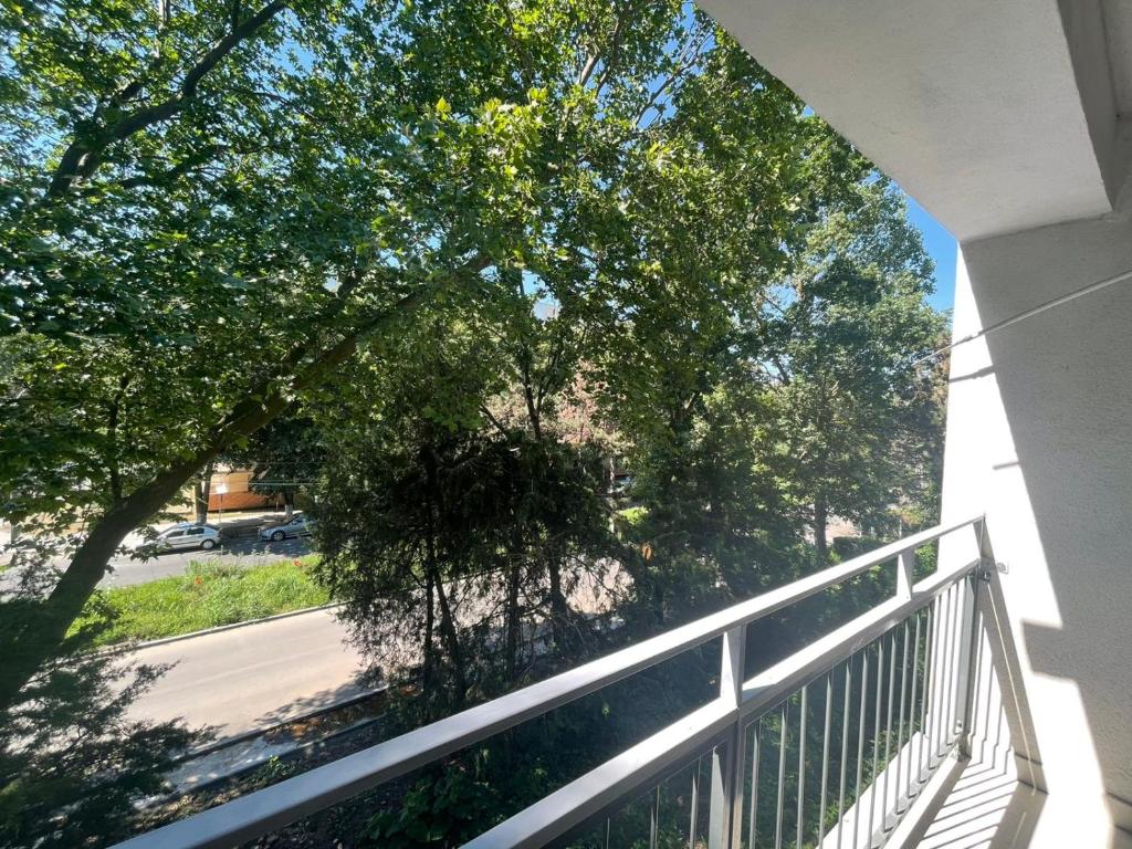 Apartamente Neptun Bosco photo