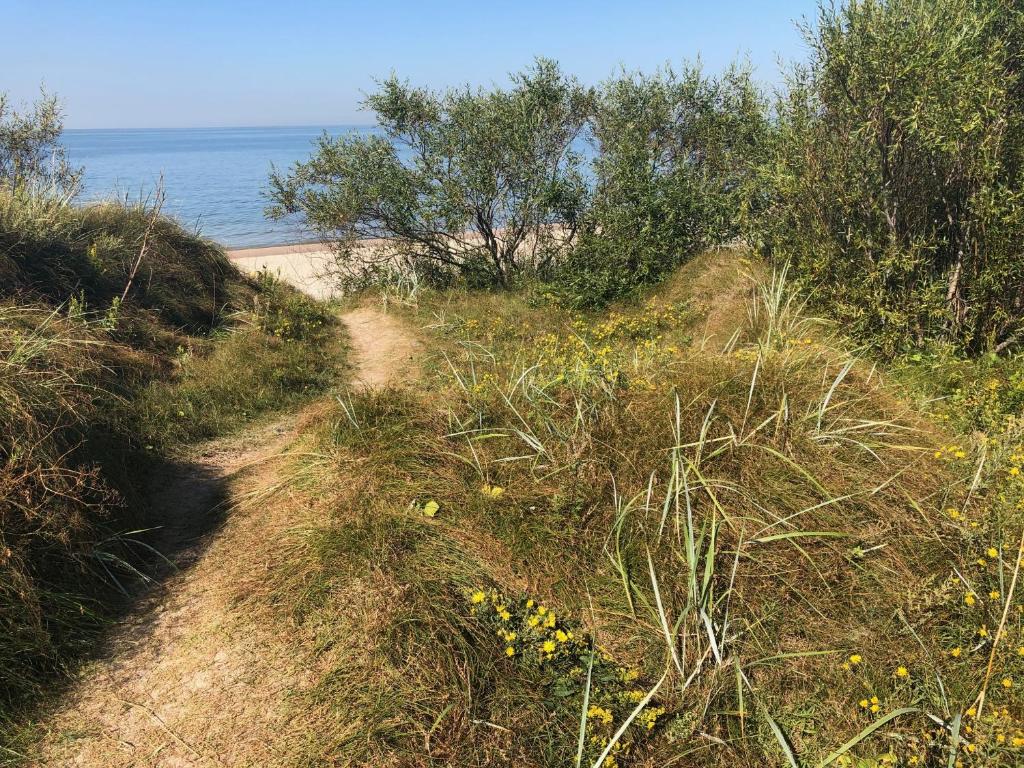 Seaside wellbeing photo