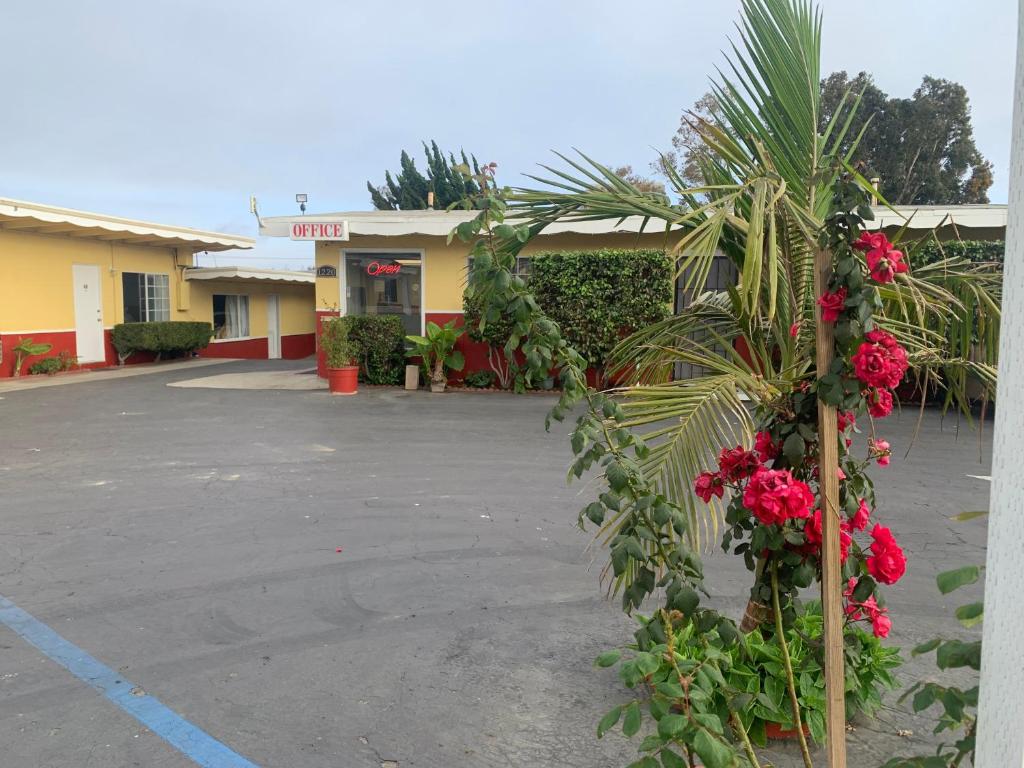 Ventura Beach House Motel photo