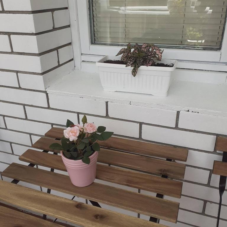 Apartman Lana, Jezero photo