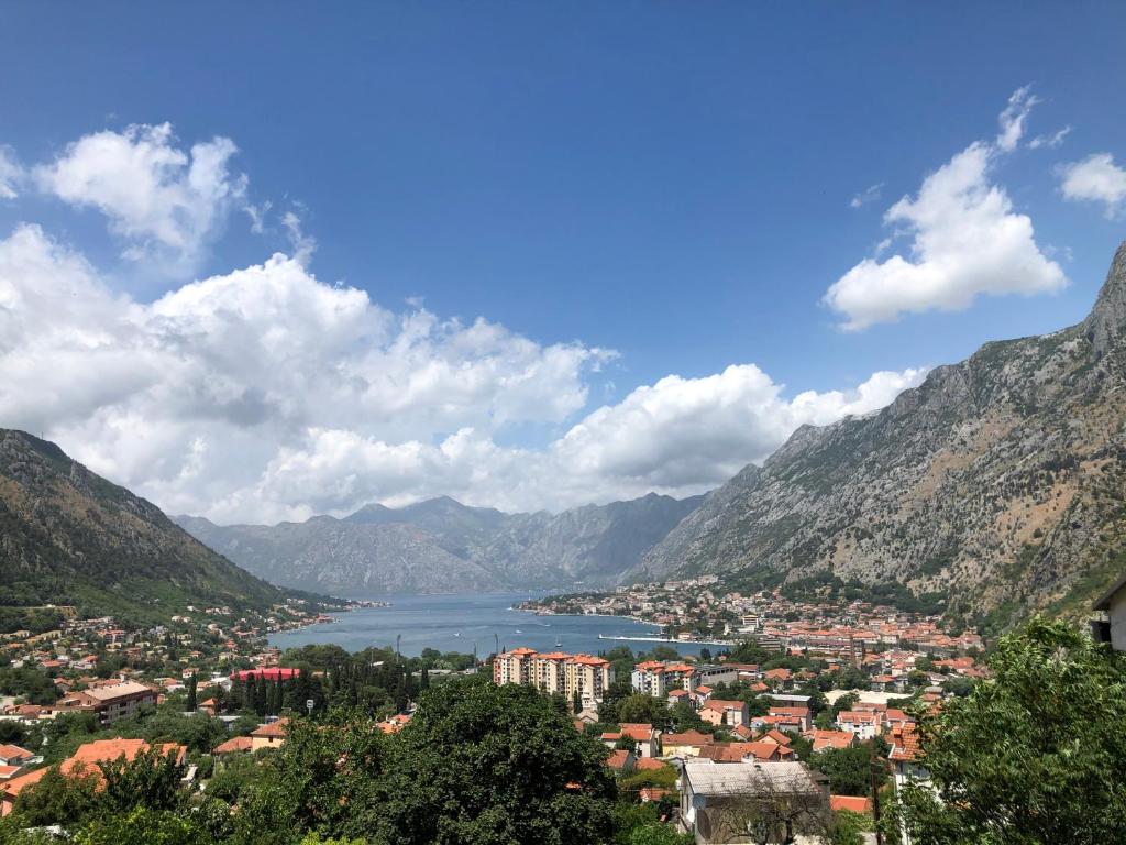 Apartman Savo, Kotor