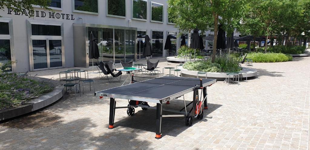 Sports and activities