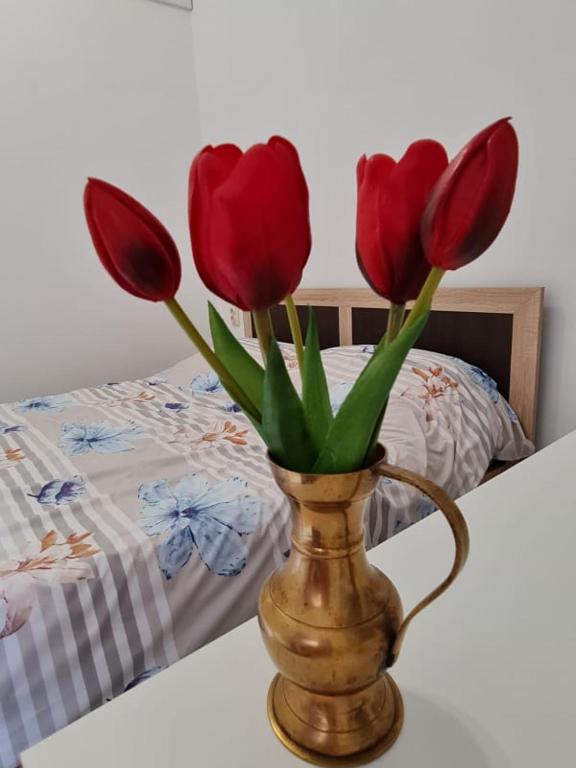 STUDIO PICO — Hotel in Cluj- Napoca
