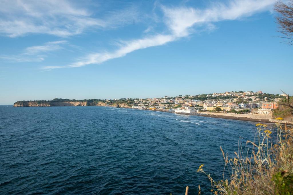 Insula Boutique Hotel photo