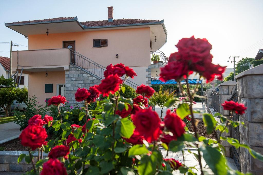 Apartman Sofija - 1