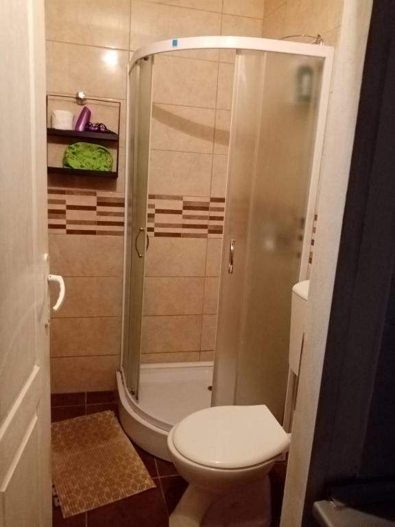DUŠICA APARTMANI - 5