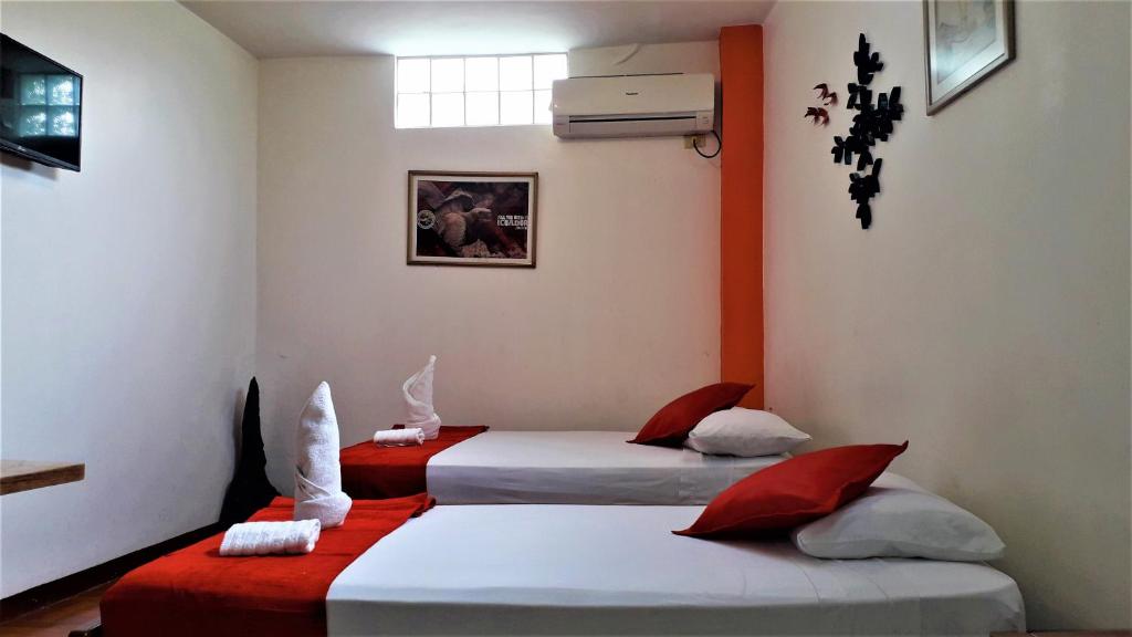 Hostal El Pinzon photo